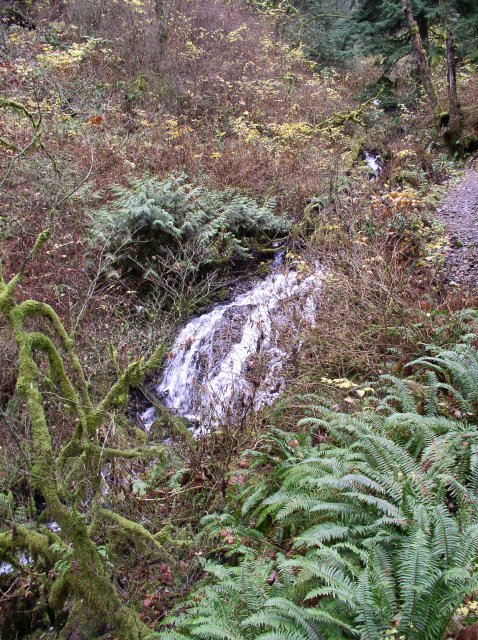 Waukeena Mult Falls 11.26.05 029 